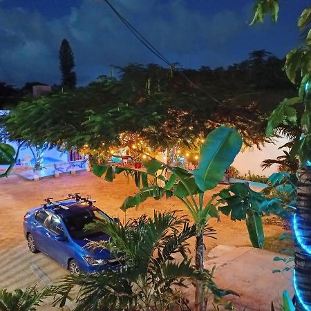Blue Coconut Cancun Hotel المظهر الخارجي الصورة