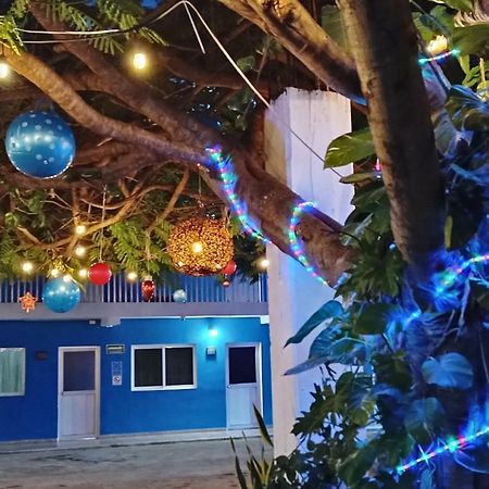Blue Coconut Cancun Hotel المظهر الخارجي الصورة