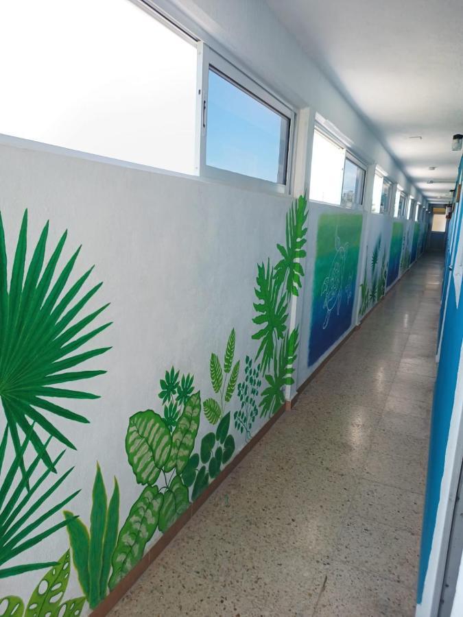 Blue Coconut Cancun Hotel المظهر الخارجي الصورة