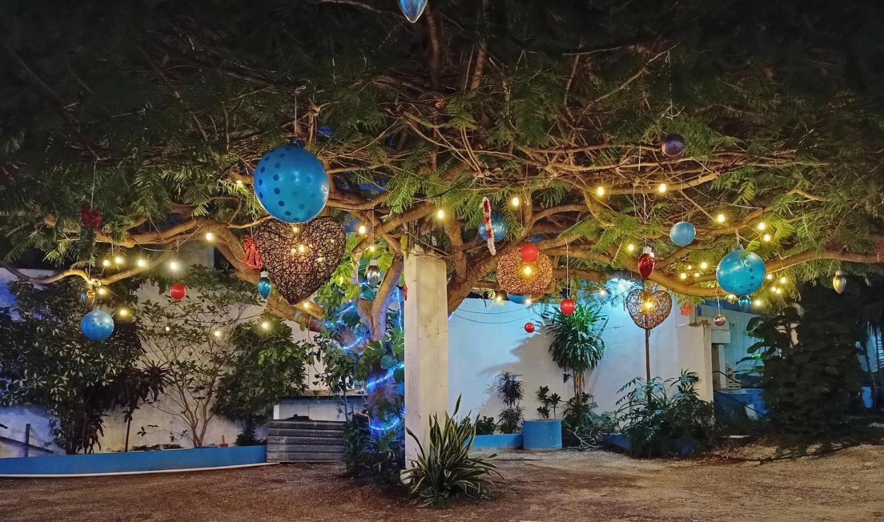 Blue Coconut Cancun Hotel المظهر الخارجي الصورة