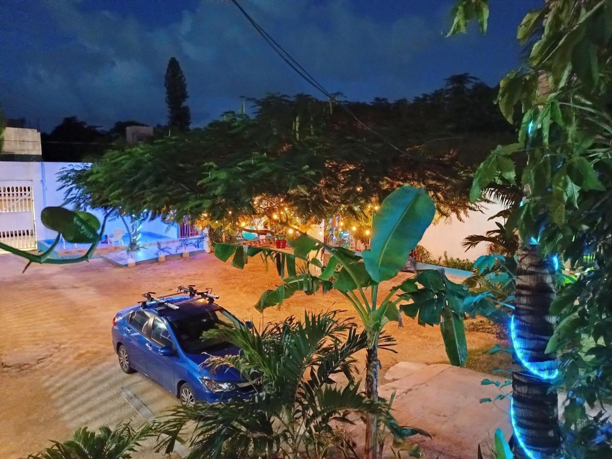 Blue Coconut Cancun Hotel المظهر الخارجي الصورة