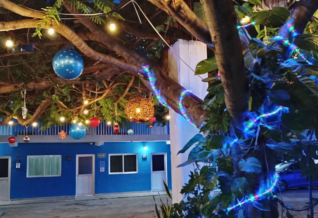 Blue Coconut Cancun Hotel المظهر الخارجي الصورة