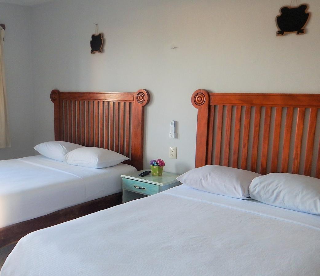 Blue Coconut Cancun Hotel المظهر الخارجي الصورة