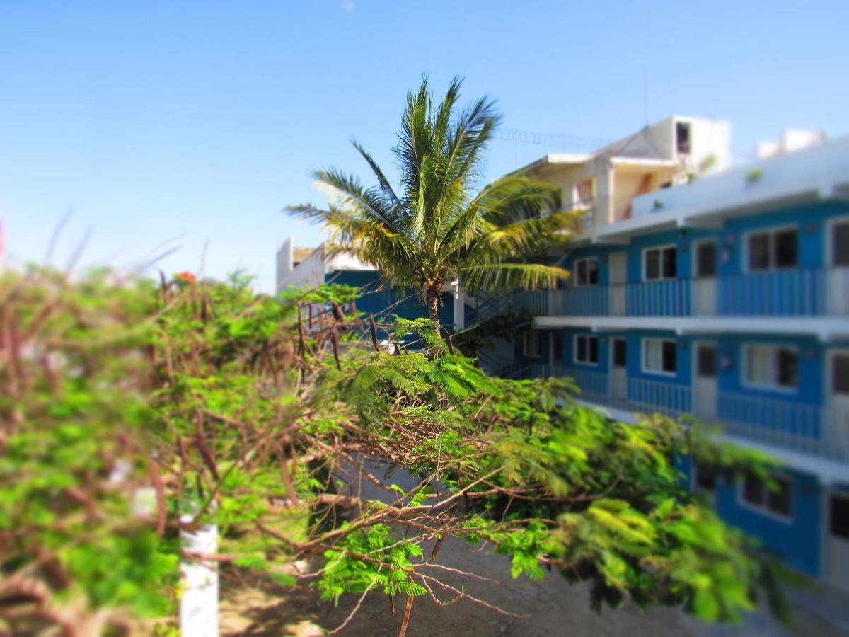 Blue Coconut Cancun Hotel المظهر الخارجي الصورة