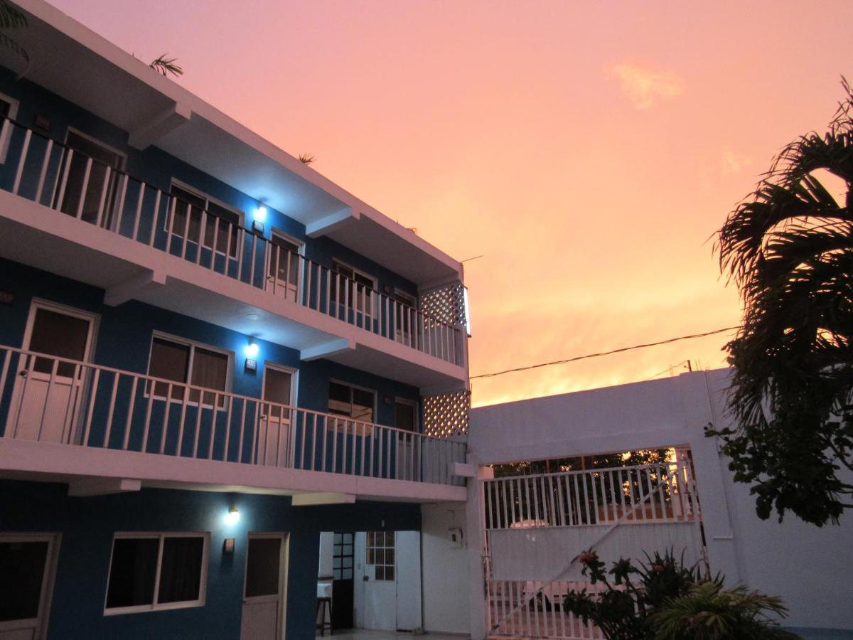 Blue Coconut Cancun Hotel المظهر الخارجي الصورة
